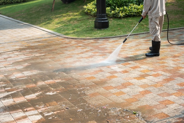Yard Maintenance