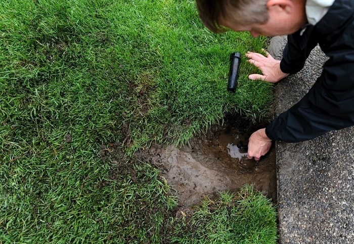 Complete Lawn Care in Painesville, OH