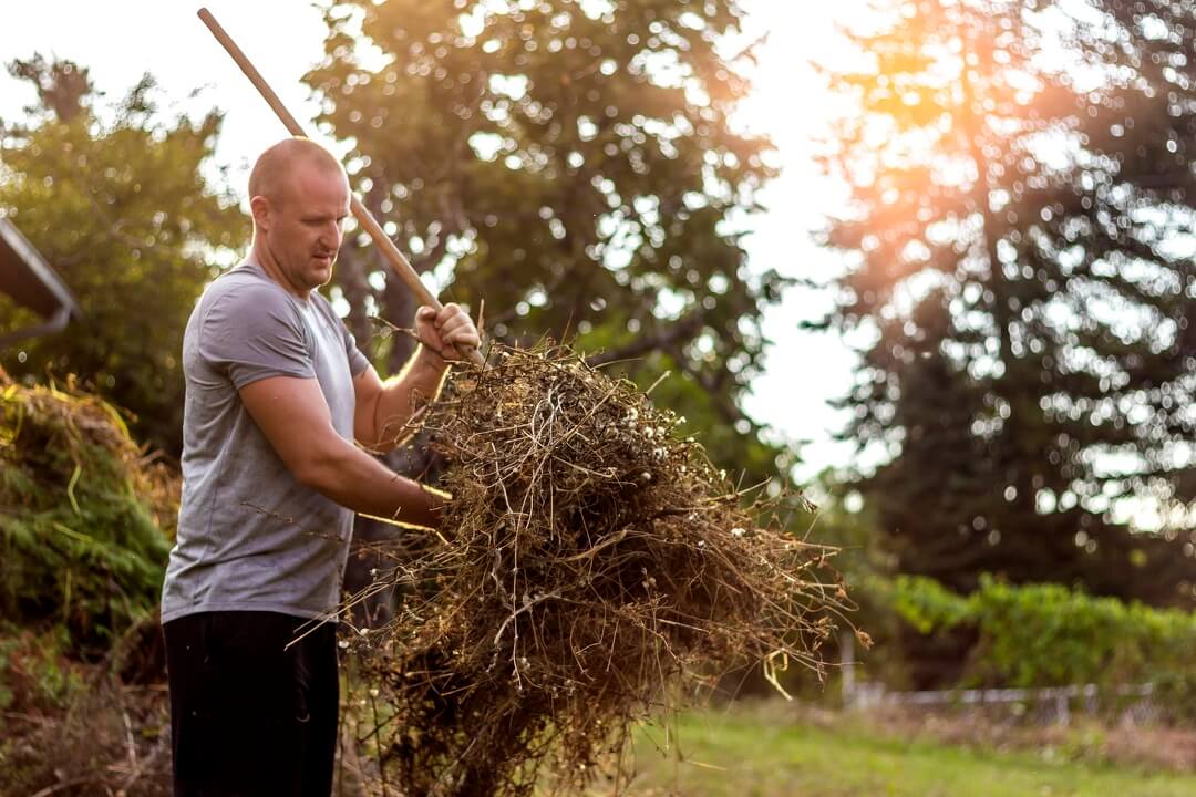 Lawn Trimming in Painesville, OH
