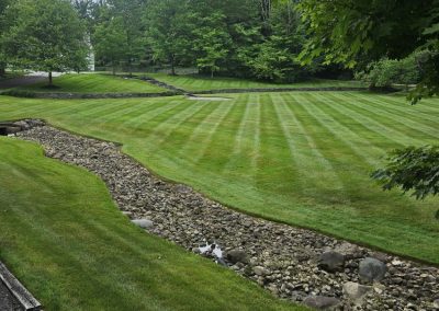 Grass Fertilizer Painesville OH