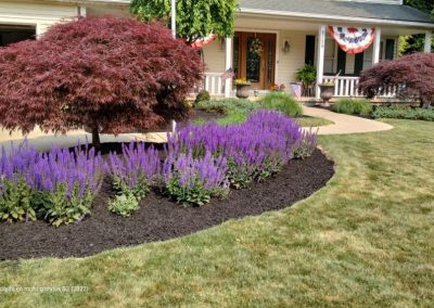 Grass Fertilizer Painesville OH