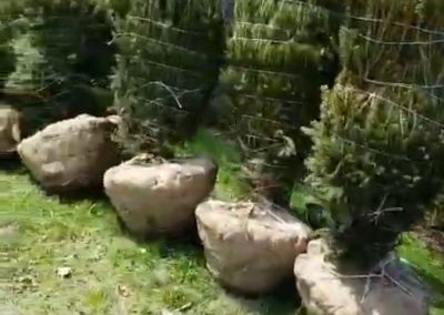 Landscaping Company Painesville OH