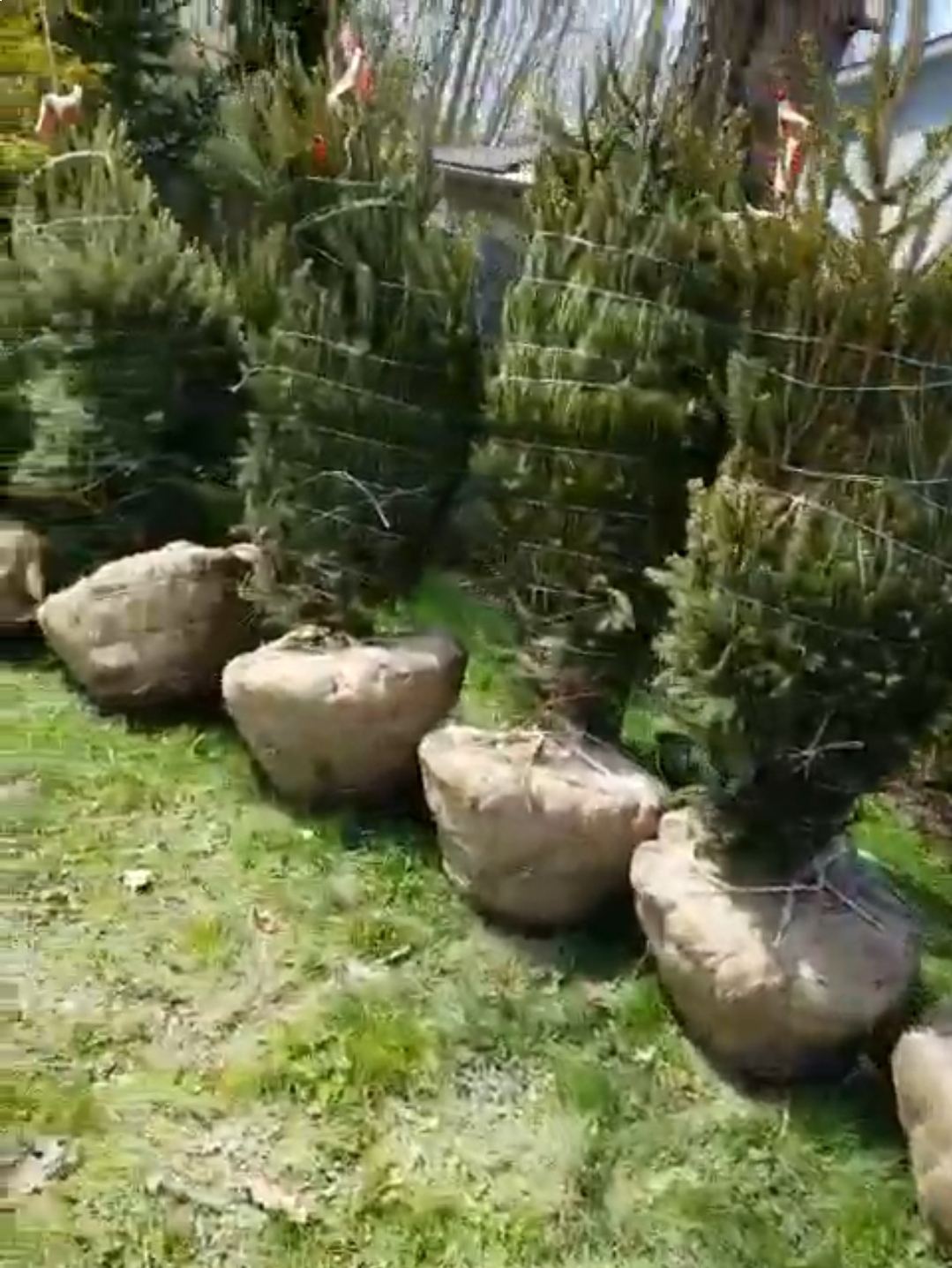 TopNotch Mulching Service in Painesville , OH, 44077