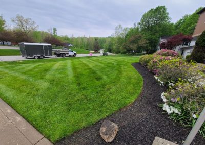 Lawn Care Painesville OH