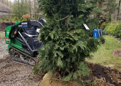 Trustworthy Mulching Service Provider