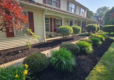Professional Fertilizing