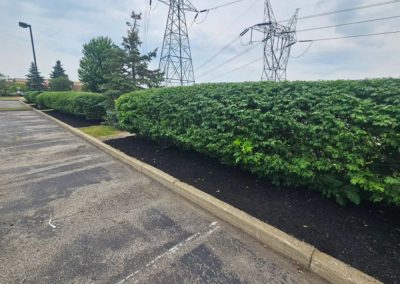 Professional Mulching Painesville OH