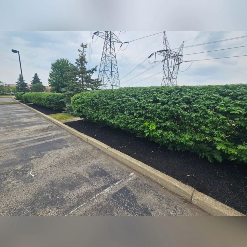 TopNotch Mulching Service in Painesville , OH, 44077