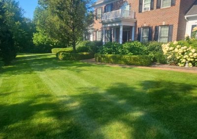 Quality Lawn Mowing