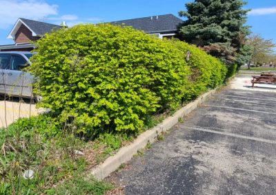 Reliable Landscaping