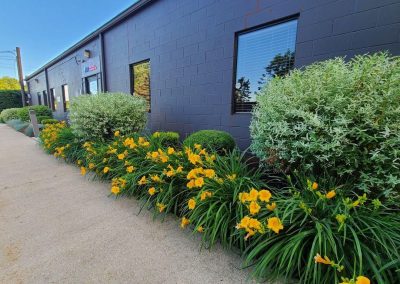 Reliable Yard Maintenance